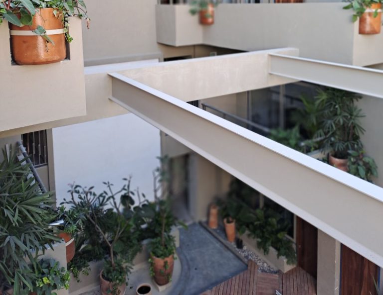 boticare logotipo pantones.ai (2)