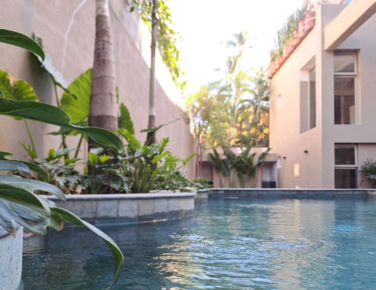 boticare logotipo pantones.ai