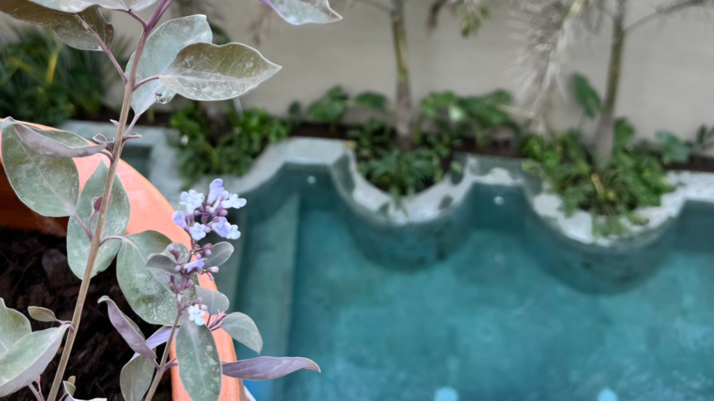 diseño sin título (3)